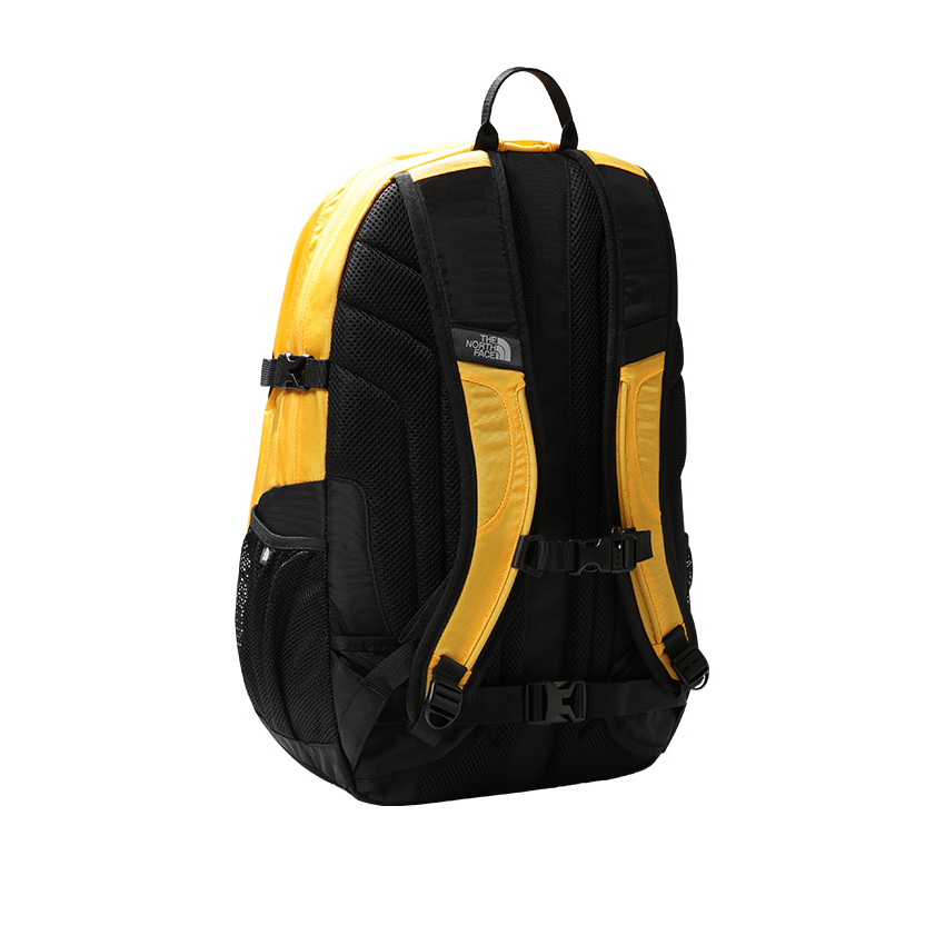 Dimensioni 2025 borealis classic