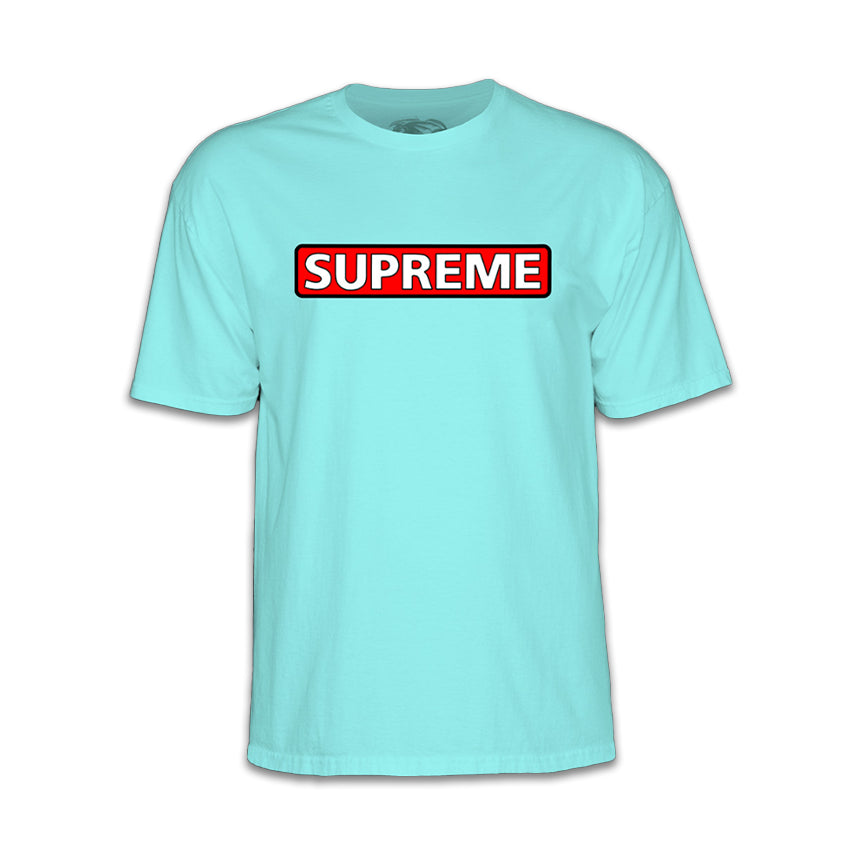 T-shirt Powell Peralta Supreme Tee Céleste