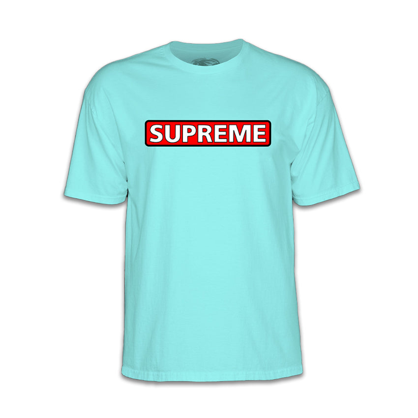 T-Shirt Powell Peralta Supreme Tee Celeste