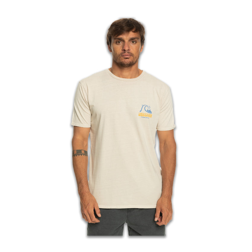 T-Shirt von Quiksilver Arts in Palmbeige