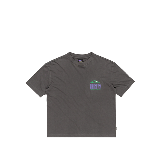 T-Shirt Bambino Quiksilver GH World Force Tee Grigio
