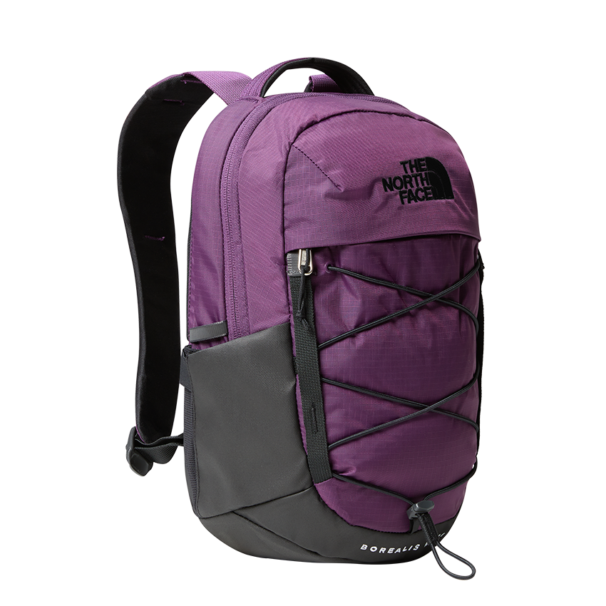 Zaino The North Face Borealis Mini Backpack Viola