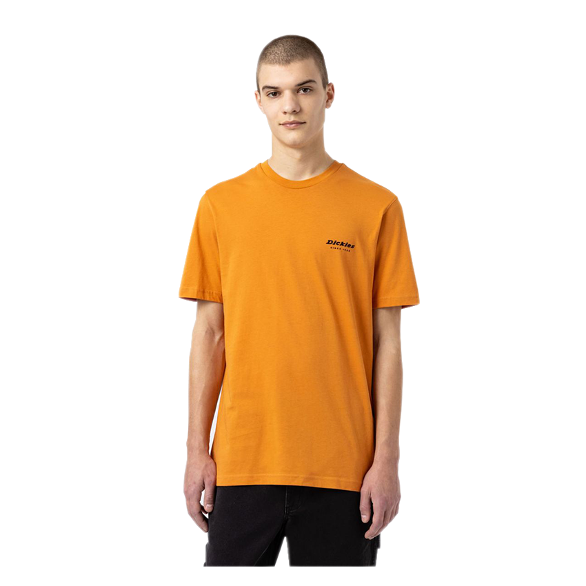 T-Shirt Dickies Artondale Ocra