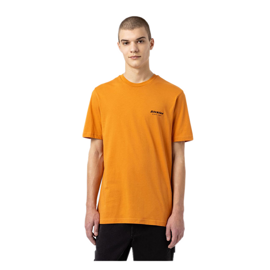T-Shirt Dickies Artondale Ocra