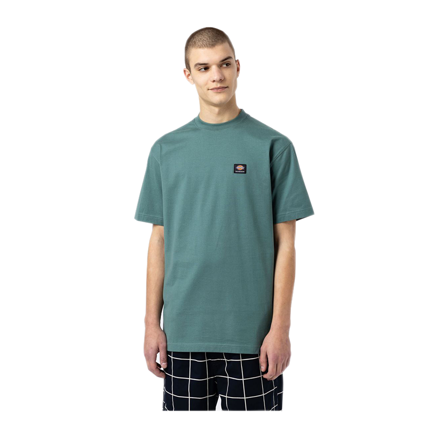 Dickies Mount Vista T-shirt vert sauge