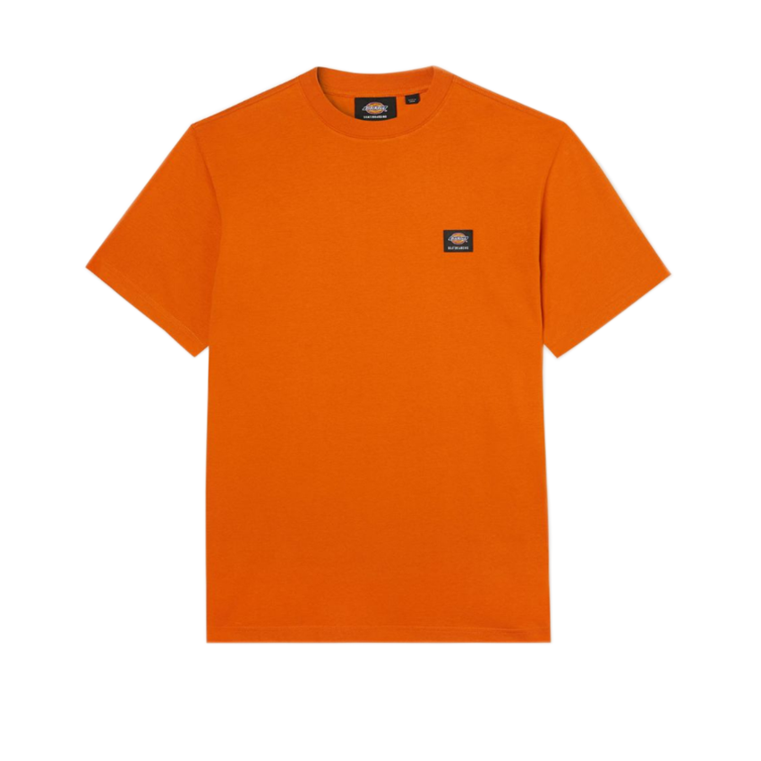 T-Shirt Dickies Mont Vista Tee Arancione