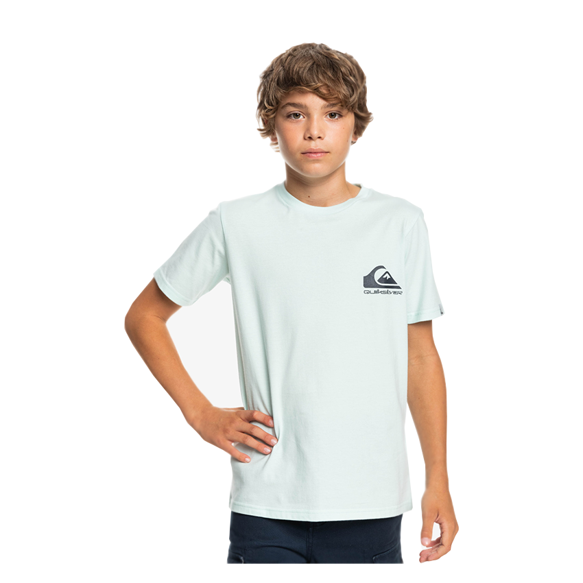 Quiksilver Jr Drop In Mint T-Shirt