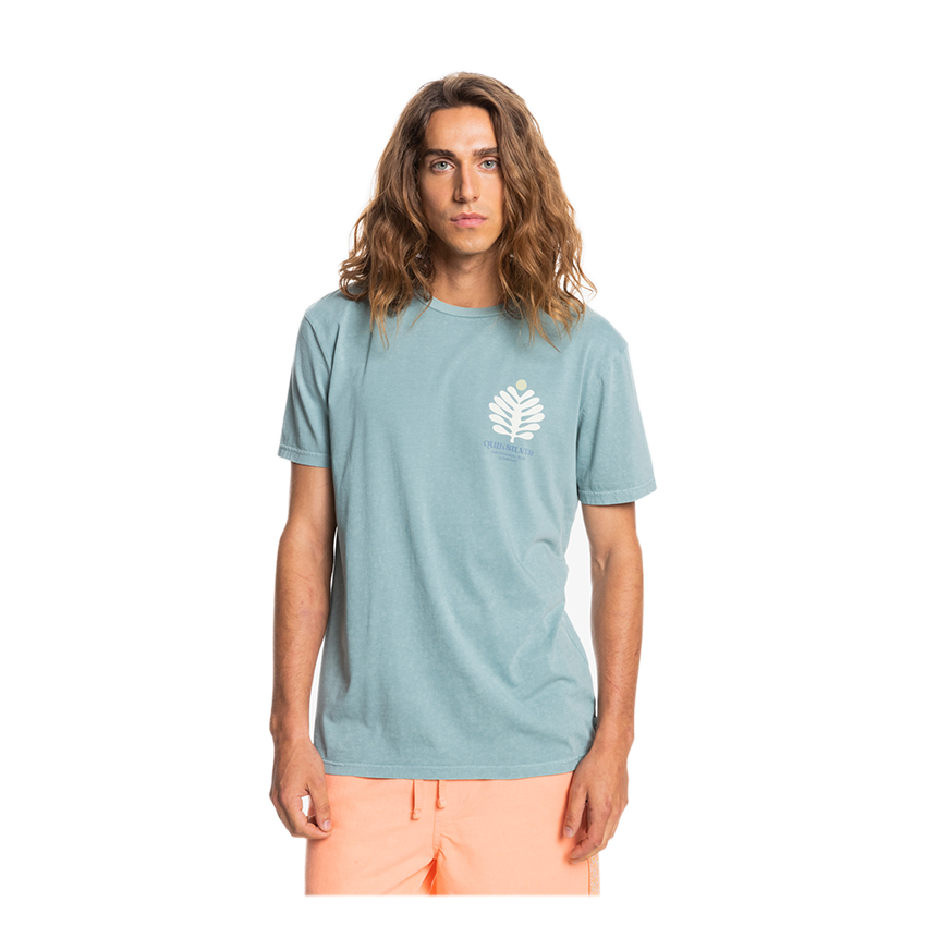 T-Shirt Quiksilver Promote The Stoke Ceruleo