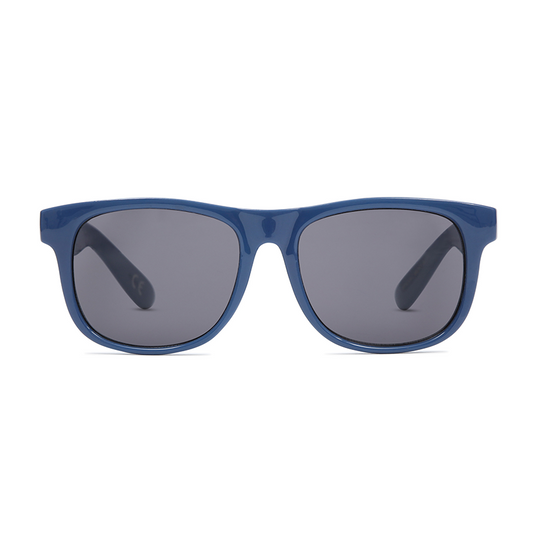 Vans Baby Spicoli Sunglasses Blue